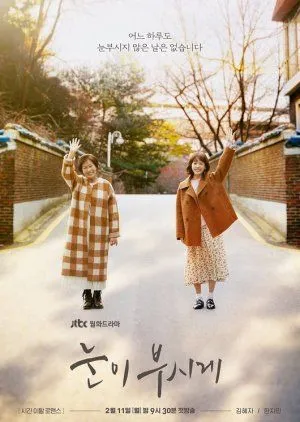 Nonton Drakor The Light in Your Eyes (2019) Sub Indo
