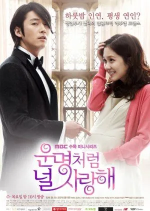 Nonton Drakor Fated to Love You (2014) Sub Indo