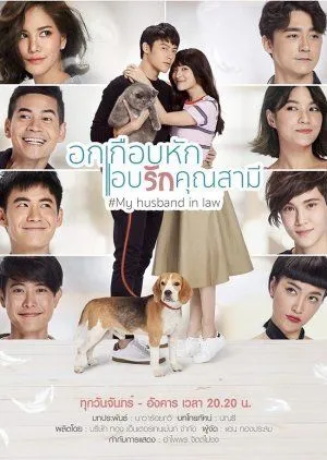 Nonton Drama My Husband in Law (2020) Sub Indo