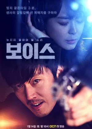 Nonton Drakor Voice (2017) Sub Indo