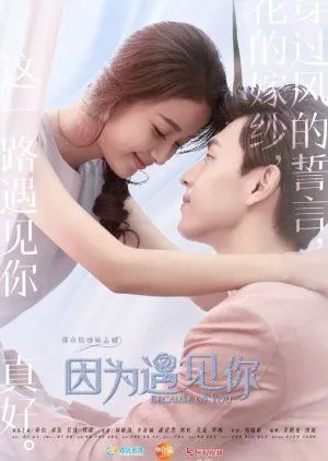 Nonton Drama Because of You (2017) Sub Indo