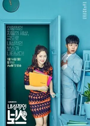 Nonton Drakor Introverted Boss (2017) Sub Indo