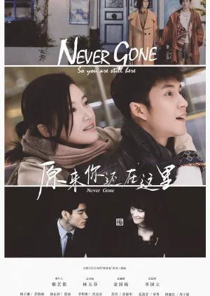 Nonton Drama Never Gone (2018) Sub Indo