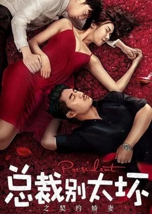 Nonton Drama Young President and His Contract Wife (2018) Sub Indo