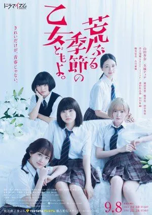 Nonton Drama Araburu Kisetsu no Otomedomo yo (2020) Sub Indo