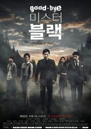 Nonton Drakor Good-bye, Mr. Black (2016) Sub Indo