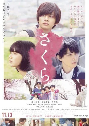 Nonton Drama Sakura (2020) Sub Indo