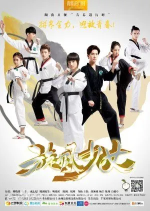 Nonton Drama The Whirlwind Girl (2015) Sub Indo