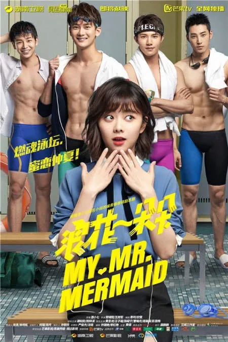 Nonton Drama My Mr. Mermaid (2017) Sub Indo