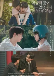 Nonton Drakor Peach Trap (2025) Sub Indo